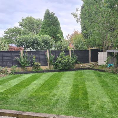 Shade Grass Seed with stripes copy