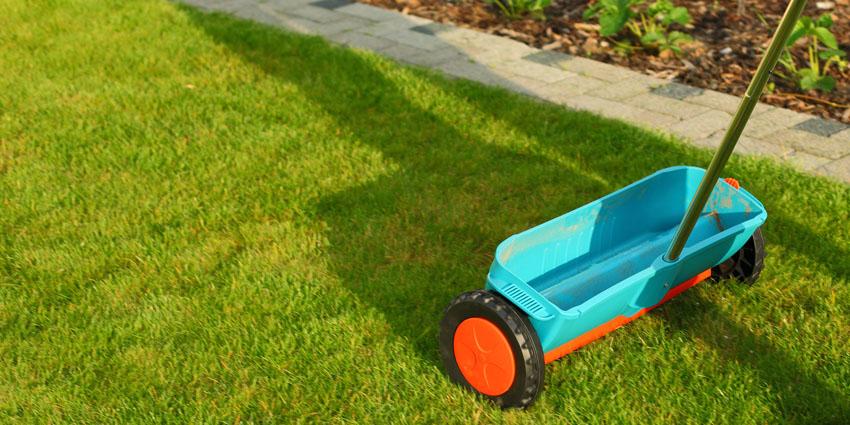 Best Spreader Settings Evergreen