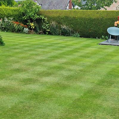 Autumn Feed & Fine Fescue Seed copy