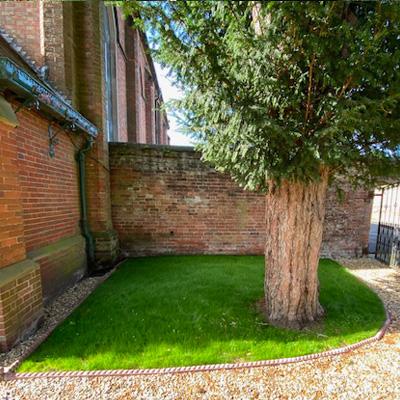 Premium Shade Grass Seed
